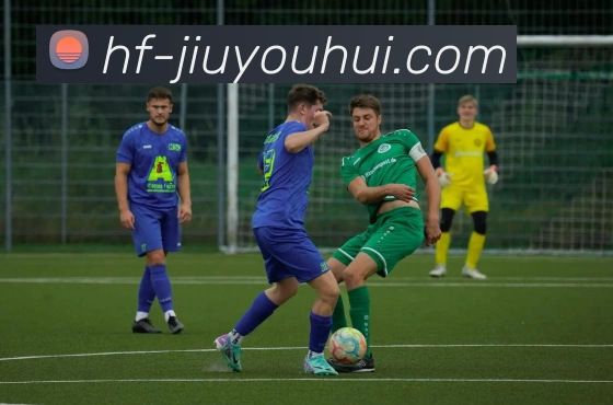 App Interface Preview